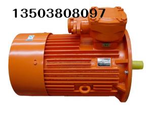 振動(dòng)篩用電機(jī)的常見故障與解決方案          